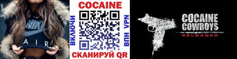 МЕГА ТОР  купить наркоту  Жуковка  COCAIN Fish Scale 