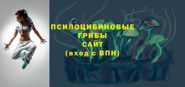 дмт Белокуриха