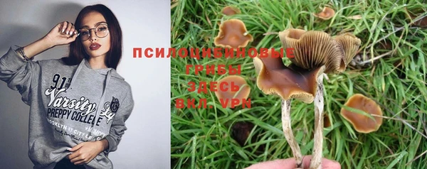 дурь Белоозёрский