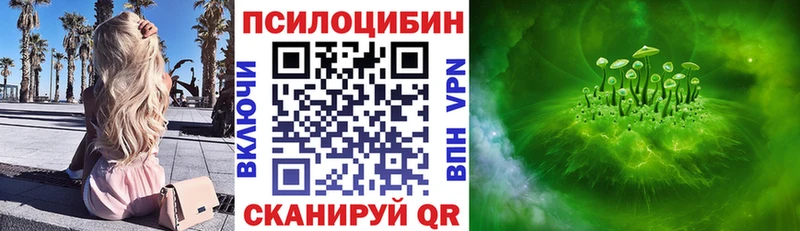 сколько стоит  Жуковка  Галлюциногенные грибы прущие грибы 